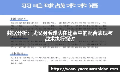 数据分析：武汉羽毛球队在比赛中的配合表现与战术执行探讨