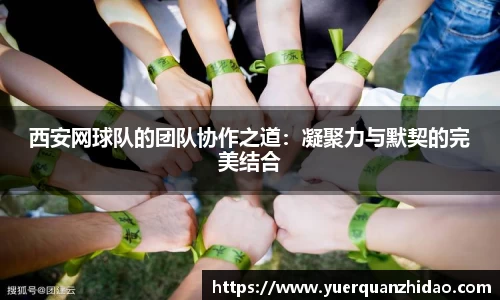 西安网球队的团队协作之道：凝聚力与默契的完美结合