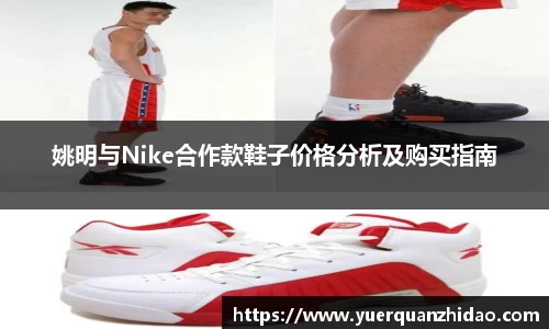 姚明与Nike合作款鞋子价格分析及购买指南