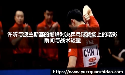 许昕与波兰斯基的巅峰对决乒乓球赛场上的精彩瞬间与战术较量