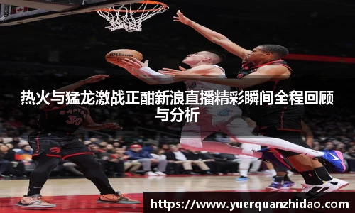 热火与猛龙激战正酣新浪直播精彩瞬间全程回顾与分析