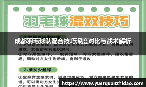 成都羽毛球队配合技巧深度对比与战术解析