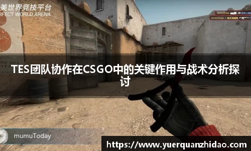TES团队协作在CSGO中的关键作用与战术分析探讨